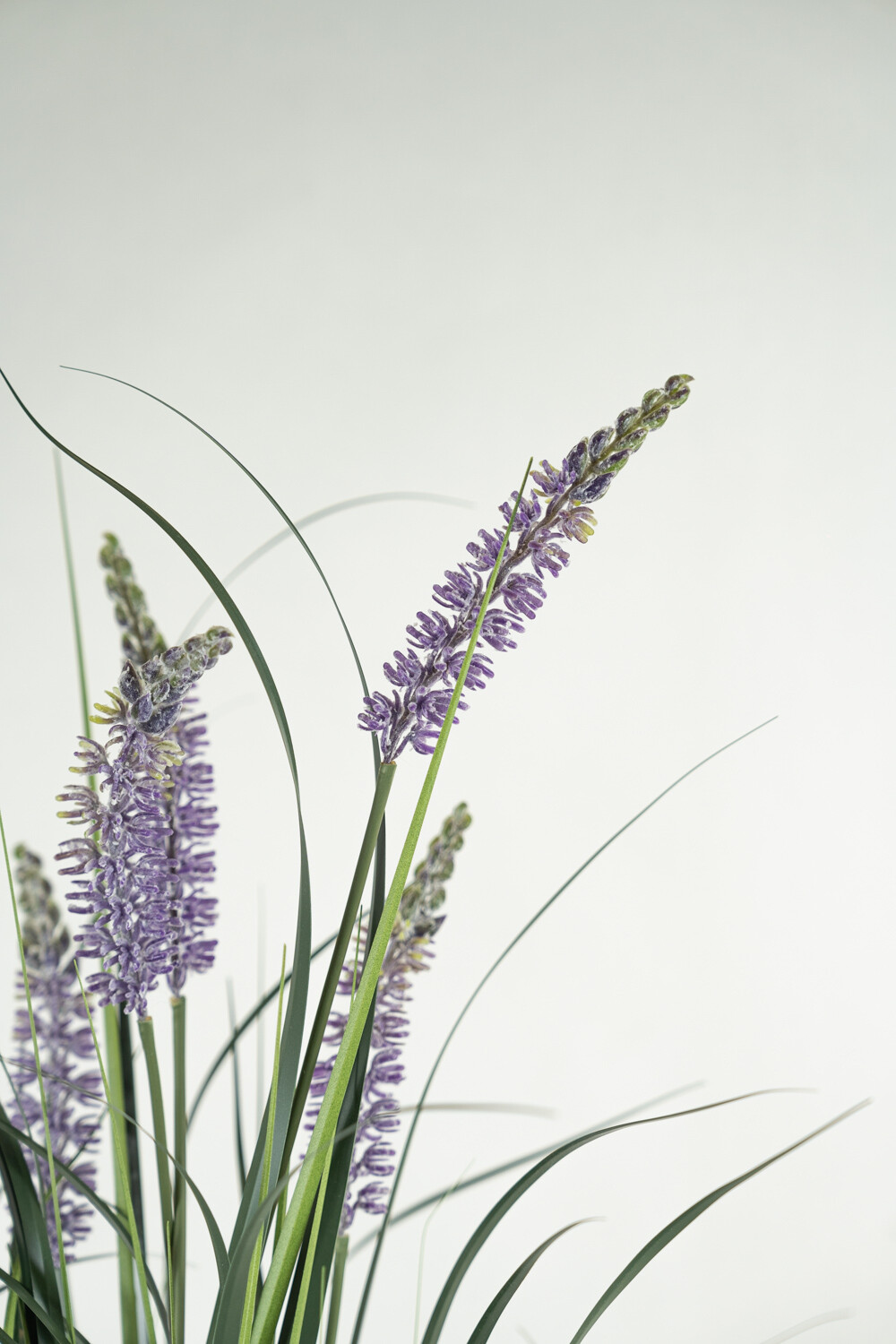 Planta Grass Violet 95cm Color Unico