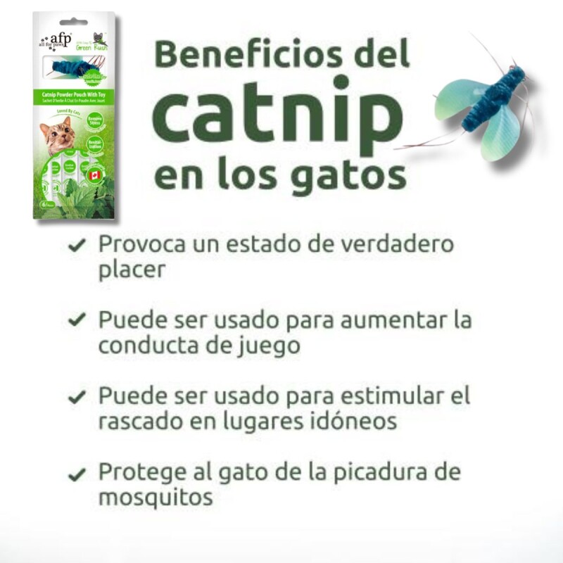 HIERBA GATERA CATNIP KIT DE 6 UNIDADES X 2 G C/JUGUETE INSECTO PARA GATOS HIERBA GATERA CATNIP KIT DE 6 UNIDADES X 2 G C/JUGUETE INSECTO PARA GATOS