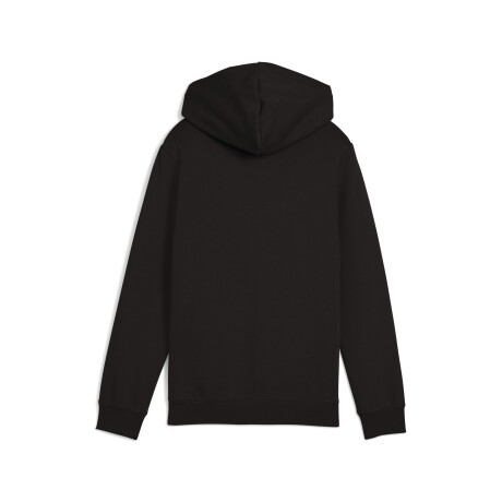 ESS 2 COLOR Nş1 logo Hoodie FL B 68582256 Negro
