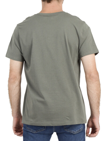 Remera O'Neill Pacific Ritual Verde Fantasma