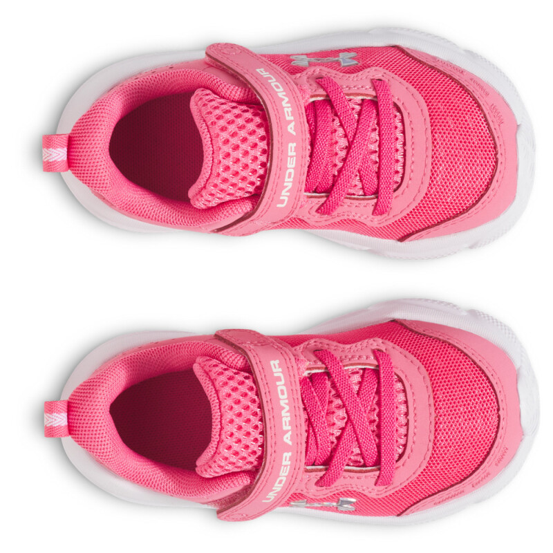 UA GINF Assert 10 AC-PNK PNK-672