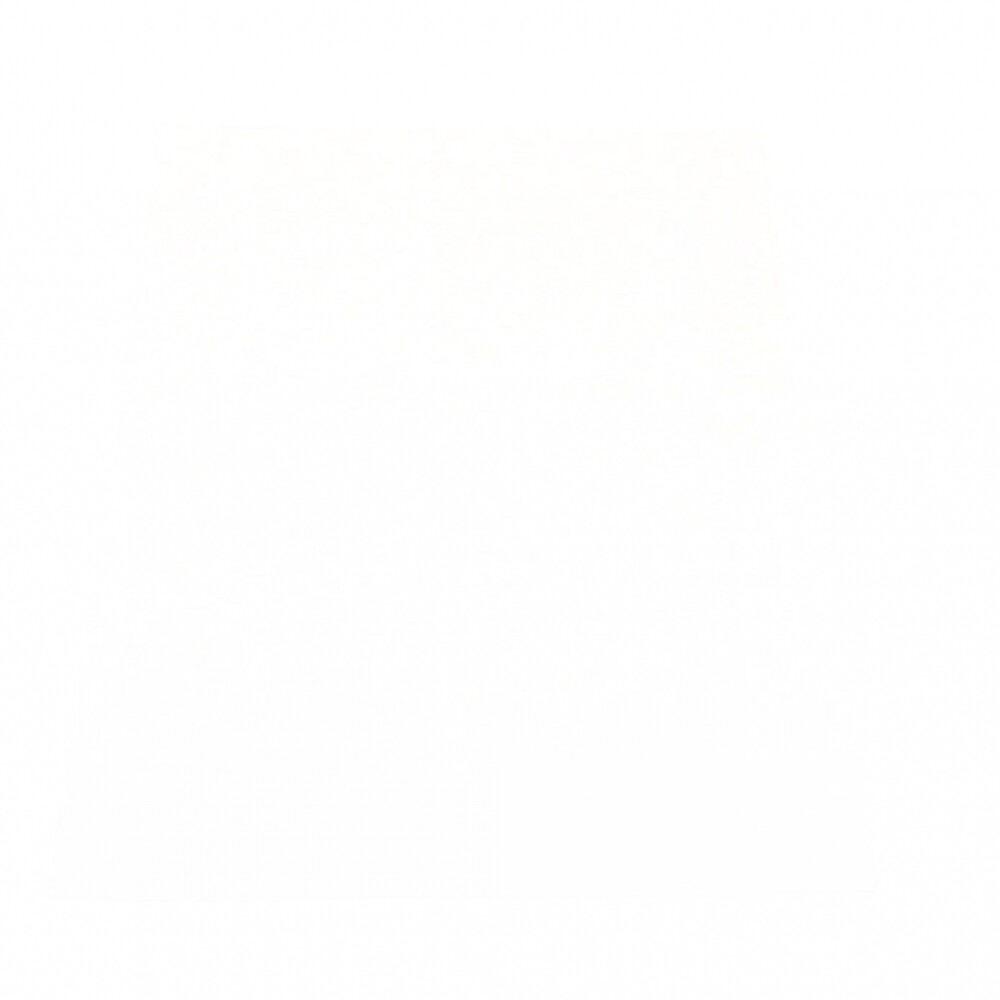 CARTULINA BLANCA 250 GR. 72X92 CARTULINA BLANCA 250 GR. 72X92