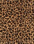 Vinchas Textiles Pañuelo Pañuelo Animal Print - Estampado Animal Print