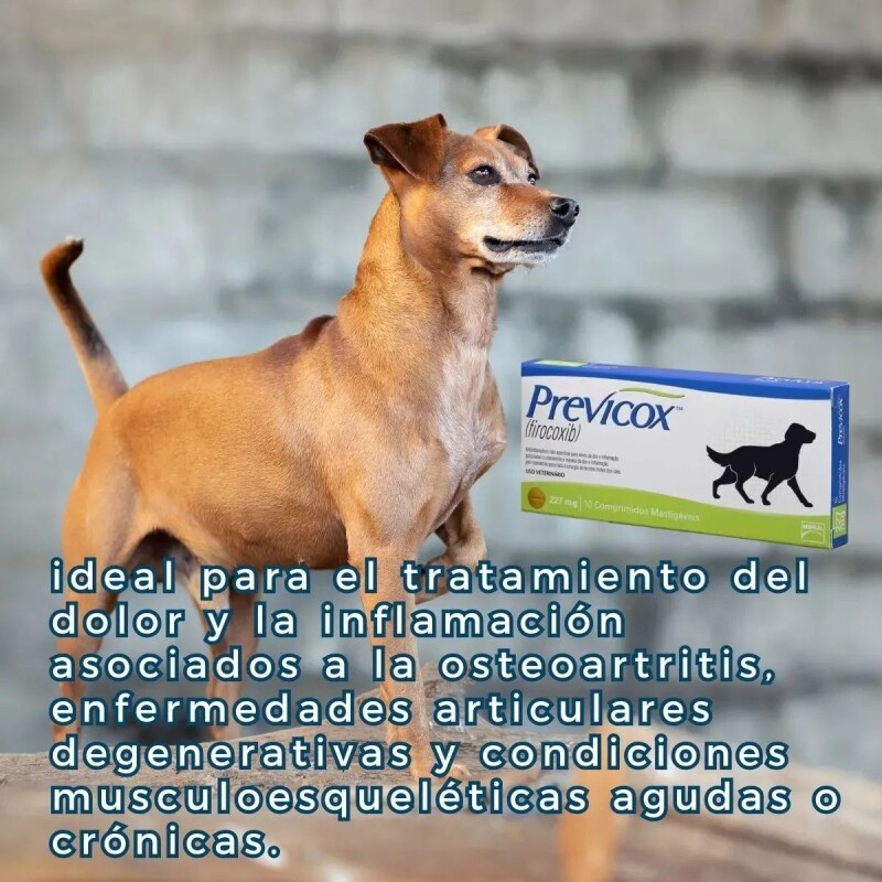 PREVICOX 227 MG 10 COMPRIMIDOS PREVICOX 227 MG 10 COMPRIMIDOS