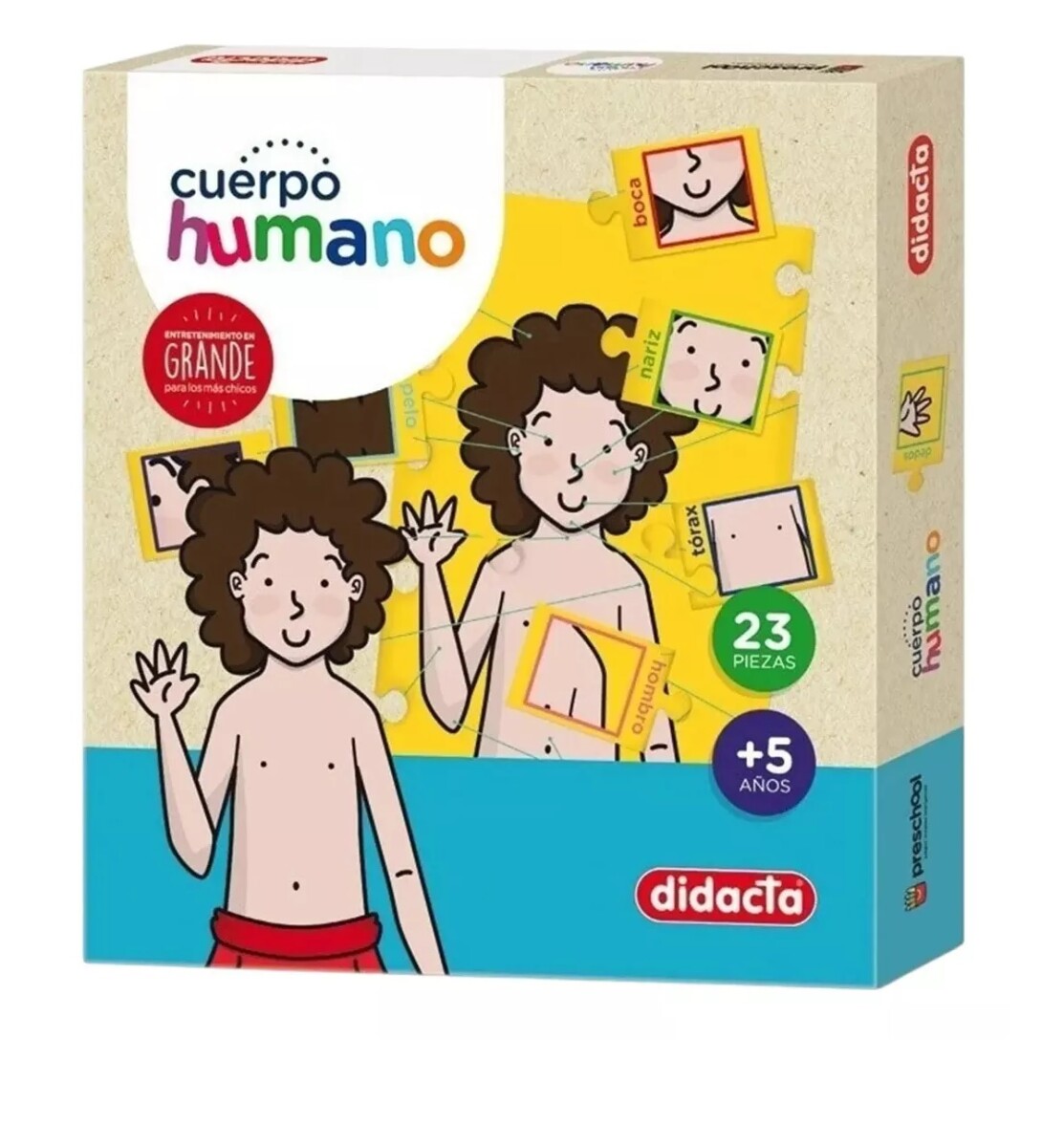 Cuerpo Humano 