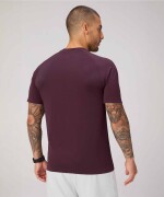 Polo Manga Corta Fit The Training Day Tee Hombre Oxblood