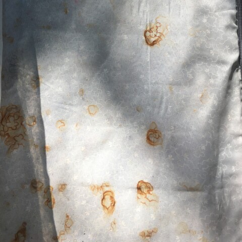 [OUTLET] Colchón King Trento Espumas Suaves Pillow Top Resortes y Tela Jacquard 110 Kg [Manchas por Humedad] [OUTLET] Colchón King Trento Espumas Suaves Pillow Top Resortes y Tela Jacquard 110 Kg [Manchas por Humedad]