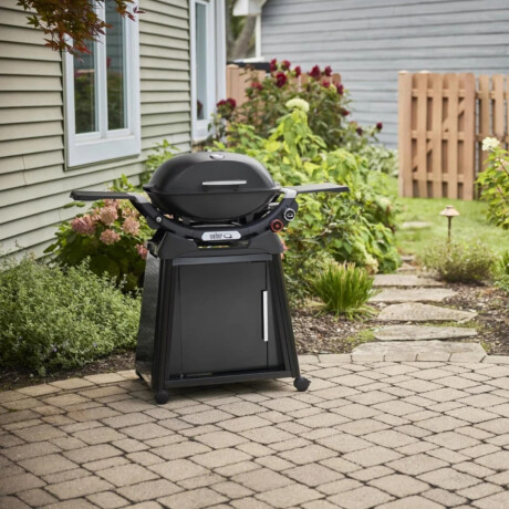 Barbacoa a gas Weber Q2800 Negra