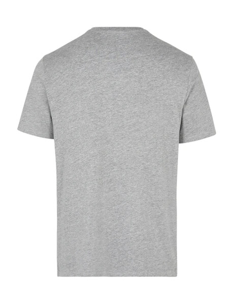 Remera O'Neill Gris
