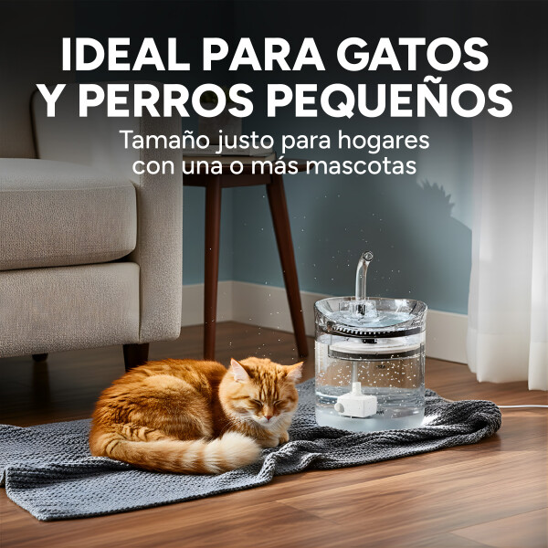 Fuente De Agua Bebedero Para Mascotas 2 Litros Recirculación Variante Transparente