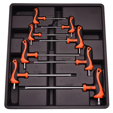 JUEGO DE LLAVES T TORX CON MANGO 8 PZAS PRO HARDEN ++ N/a