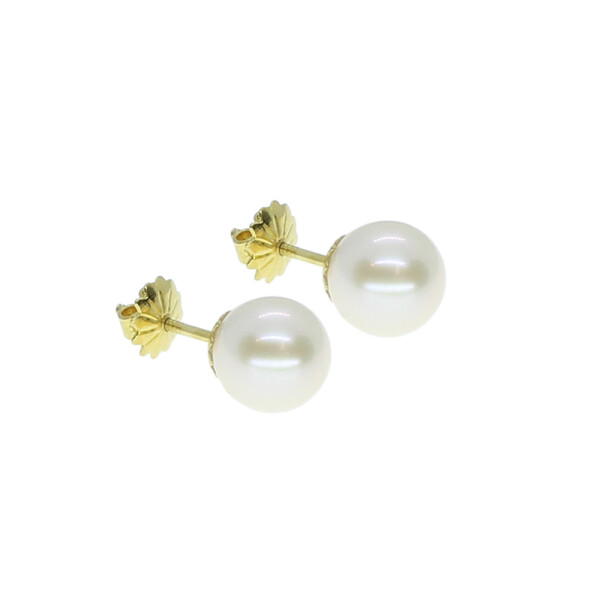 Caravanas de oro 18k con perlas de cultivo de 8,5mm. Un clásico imperdible Caravanas de oro 18k con perlas de cultivo de 8,5mm. Un clásico imperdible