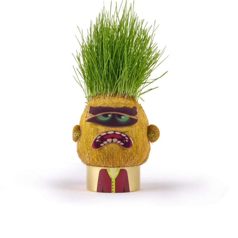 Cabeza de pasto Plant Pals Monsters Hape Moody Mary