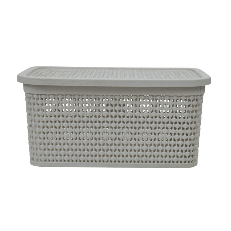 Caja simil ratán 4 lts CAPPUCCINO