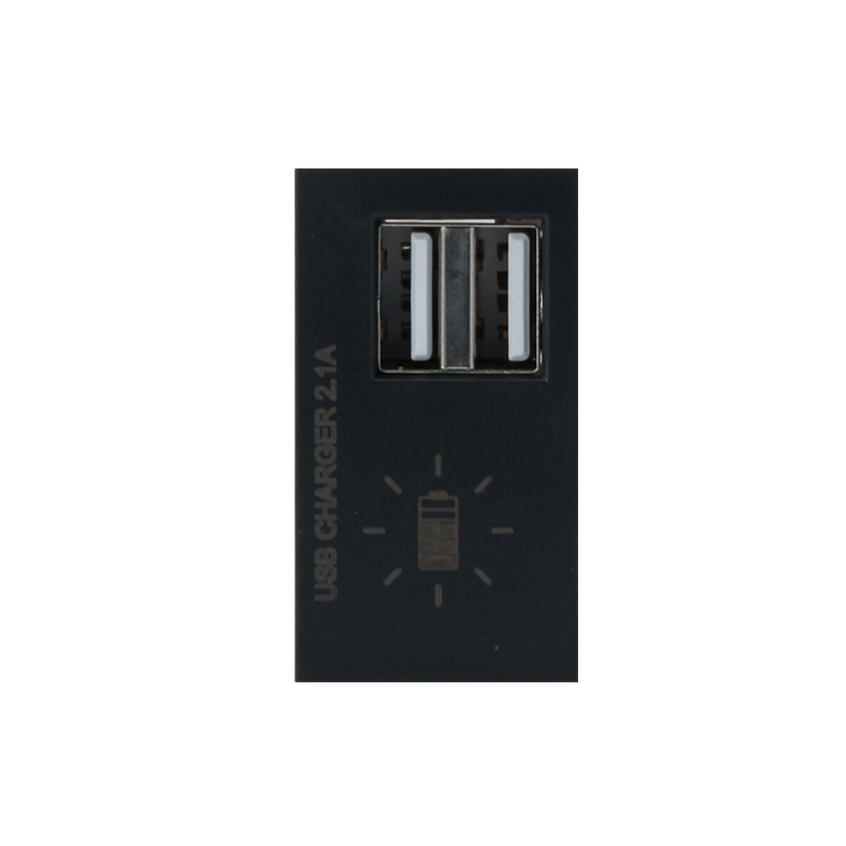 Módulo Cargador USB 2.1A DM Grafito Duomo 