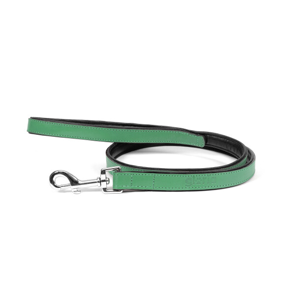 Correa de Piel Acolchada para Perros - Verde - 100cm x 18mm Correa de Piel Acolchada para Perros - Verde - 100cm x 18mm