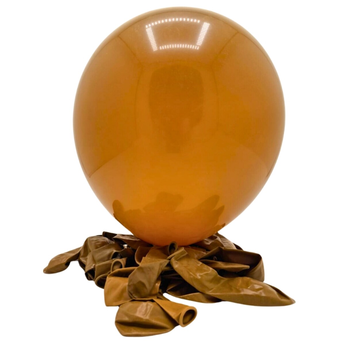 Globos Mate Tamaño R12 X25 - Nuez Matte 