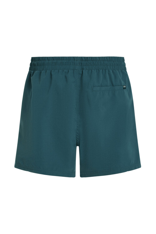 Short O'Neill Swim Trunk Azul