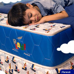 SOMIER PLAY BARQUITO 1.00X1.90 BASE+COLCHON+CABECERA PARANA Unica