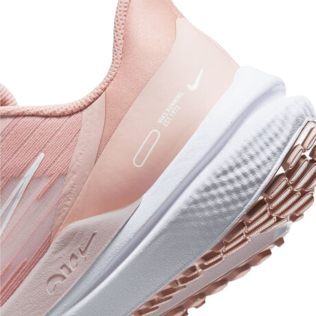 Championes Nike Air Winflo 9 600