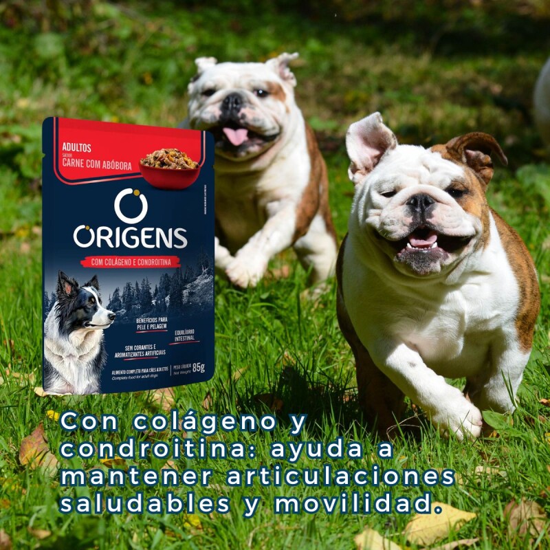 SALSA ORIGENS PERRO ADULTO 85 GR CARNE CON CALABAZA