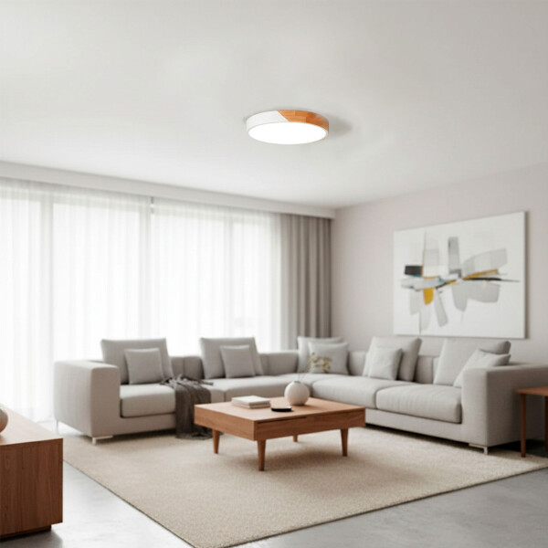 Plafón Led Techo 30cm Metal Madera Luz Fría 24w Moderno Ax Color Blanco