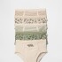 V-TB 5PK UNDRWR DESERT SAGE