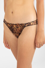 Colaless lova Animal print