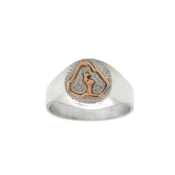 Anillo Profesión Ingeniero agrónomo-Plata y Oro-Sin Piedra-AP5009 Sinpiedra