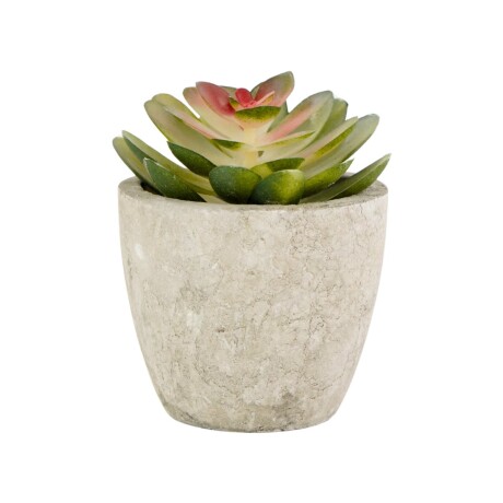 Planta artificial suculenta Planta artificial suculenta