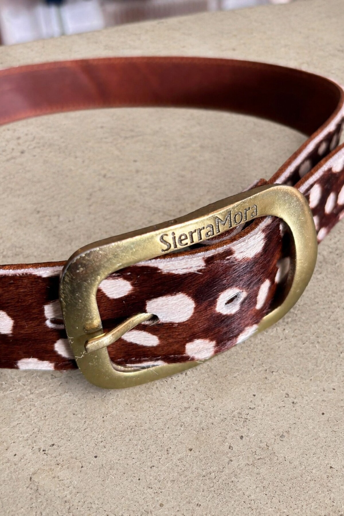 Total Dots Belt Chocolate / Dorado