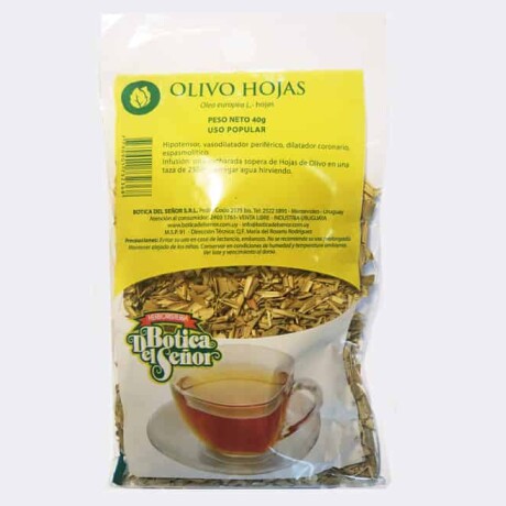 Olivo Hojas Olivo Hojas