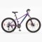 Bicicleta S-pro R.24 Mtb Kodiak Violeta
