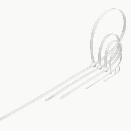 PRECINTO PLASTICO BLANCO DE 25 X 200 MM 100U Sin color