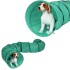 Tunel Gigante Perro Gato Mascota Redondo Tubo Interactivo Variante Color Verde Agua