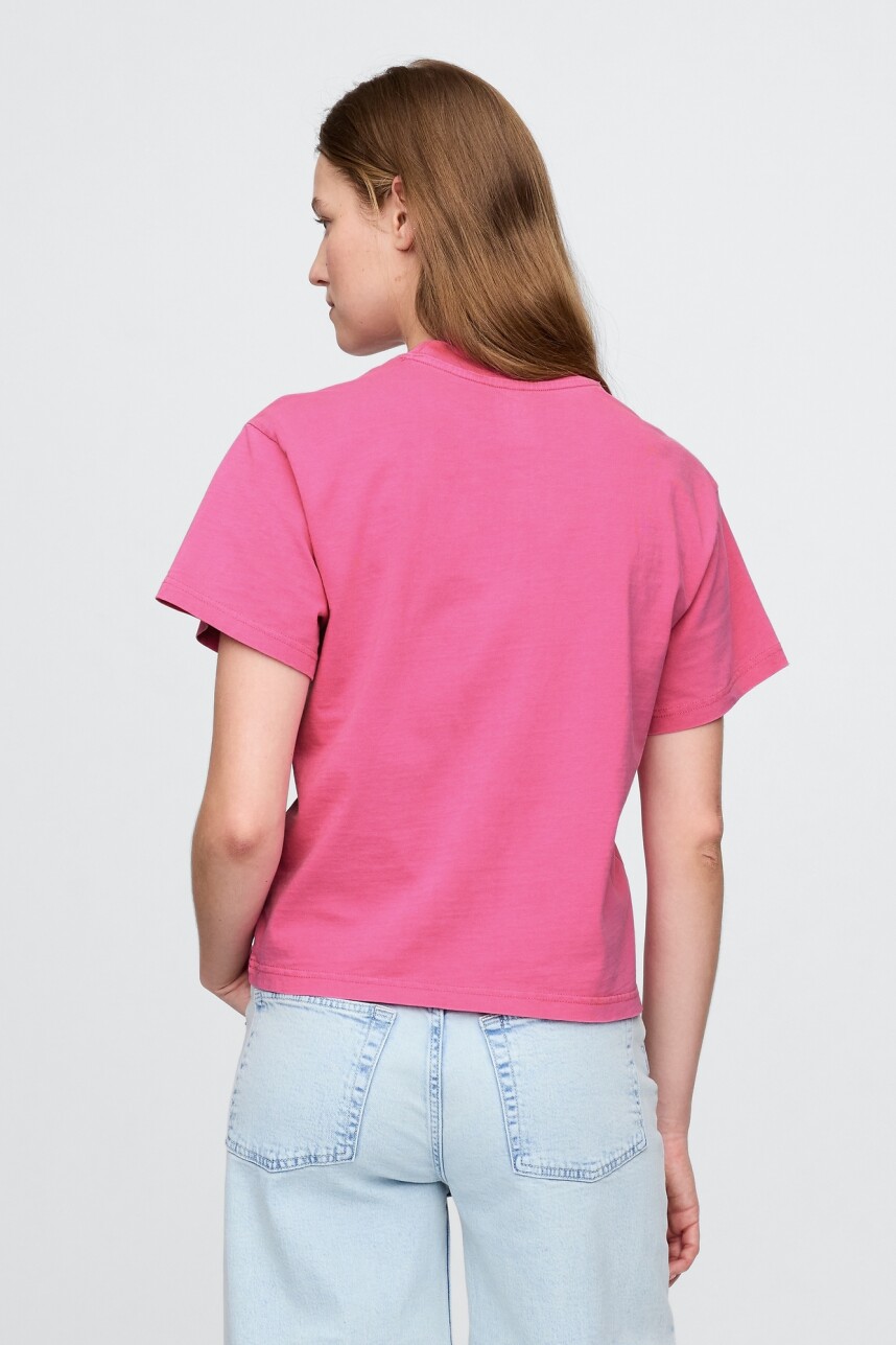 Remera Bandas Manga Corta Mujer Standout Pink