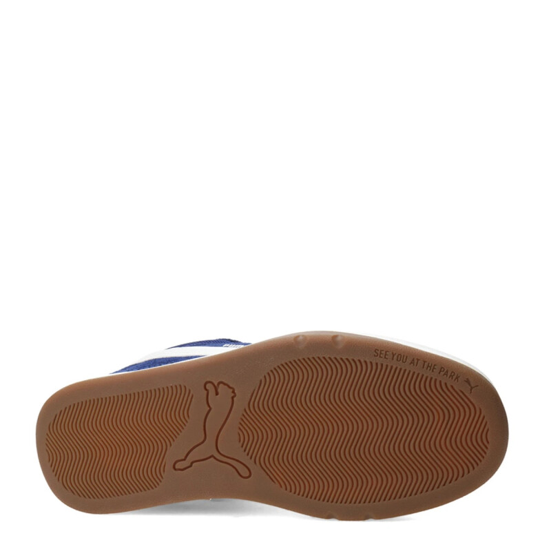 Championes Puma Park Lifestyle SK8 SD Hombre 400708 09 Azul