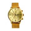 MEGIR M2011 Doradouniforme
