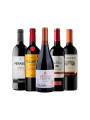 Pack Bacán Selección de Momentos - Para Compartir x5 vinos Pack Bacán Selección de Momentos - Para Compartir x5 vinos
