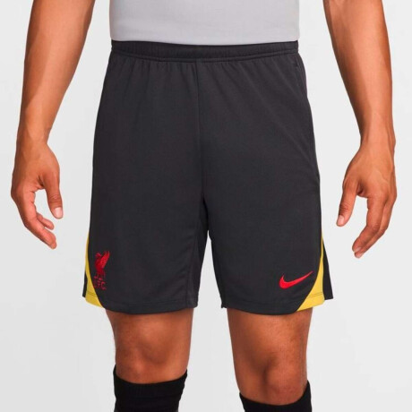 Short Nike FC Liverpool Stirke Third de Hombre Gris