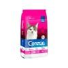 CONNIE GATOS 3K Connie Gatos 3k