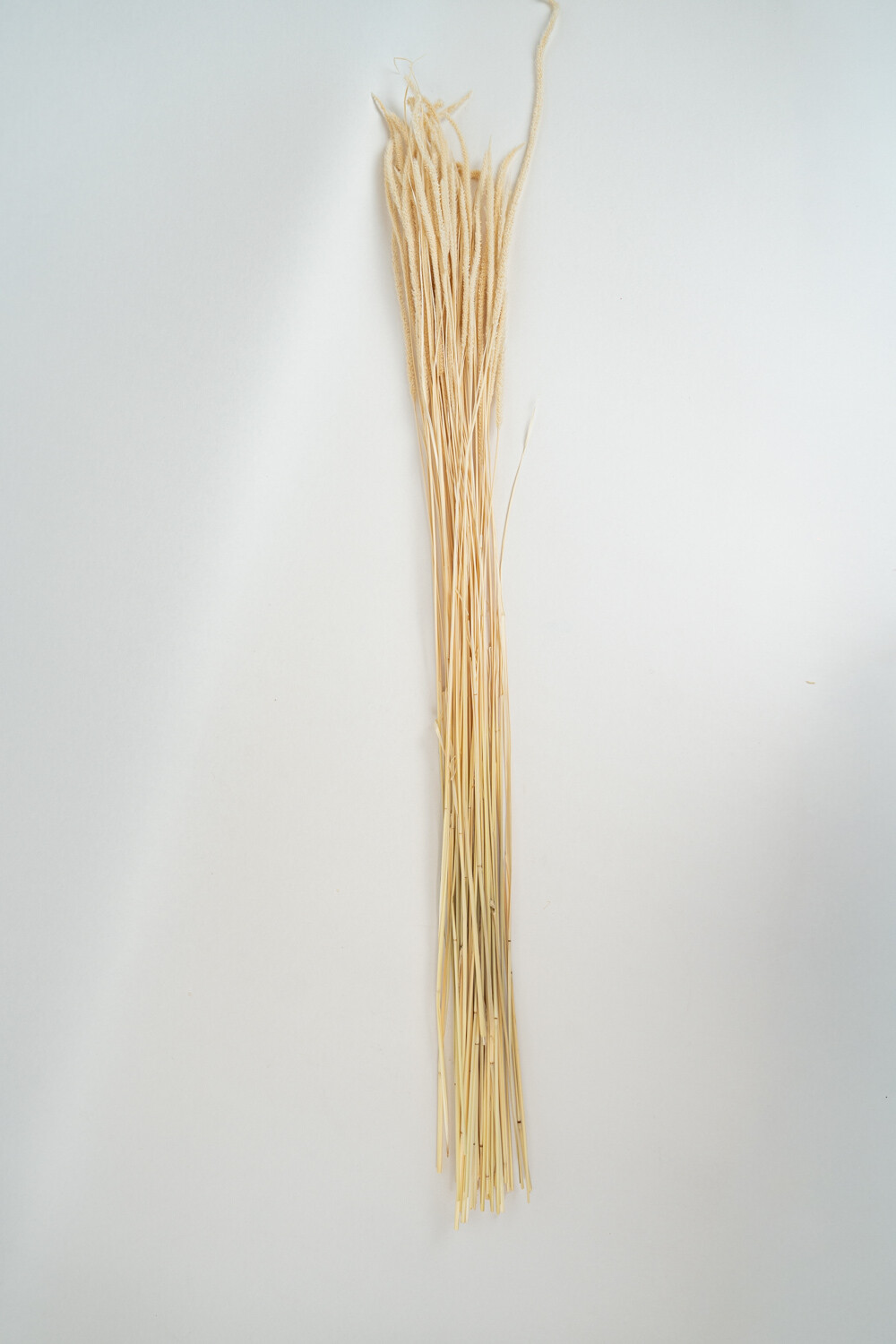 Deco Floral Flores Secas Color Unico