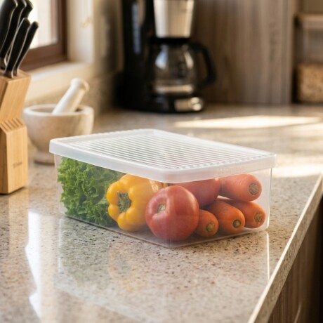 Caja G 10,3 lts TRANSPARENTE