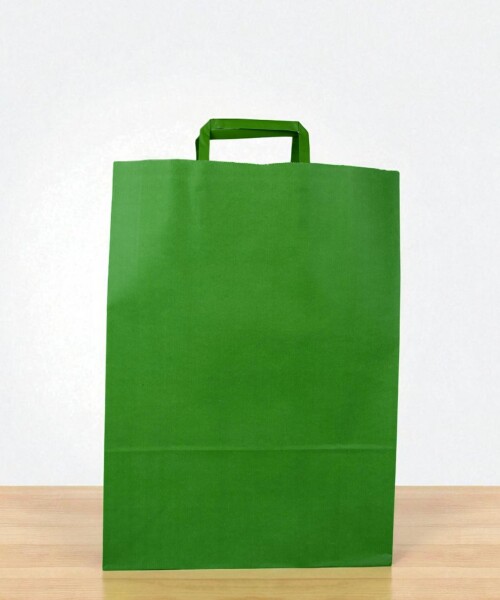 Bolsa lisa acuario 30x12x41 cm VERDE