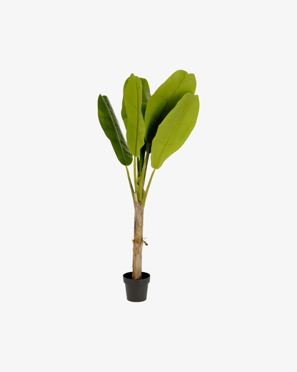 Planta artificial Banano con maceta negro 160 cm 