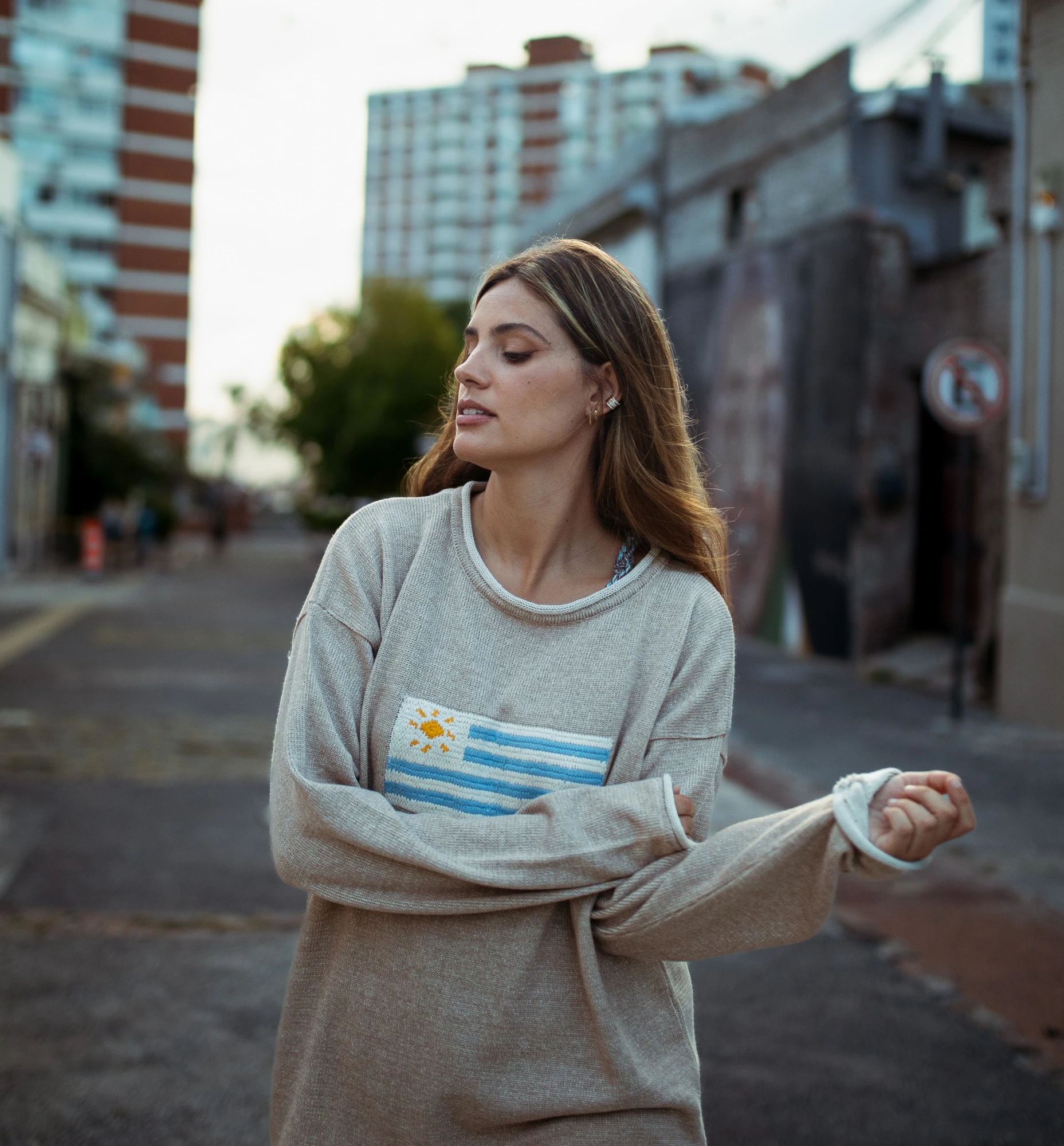 Sweater Flag Uruguay