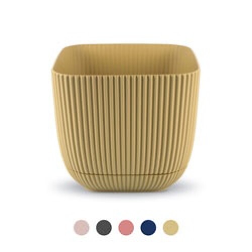 Bz.Maceta Plast.Cuad.15X13Cm.V/Colores N/a
