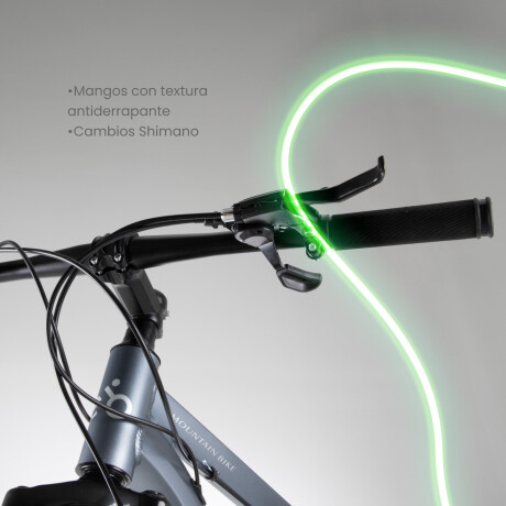 Bicicleta Montaña Bike Ruta R29 Freno Disco Acero Gris