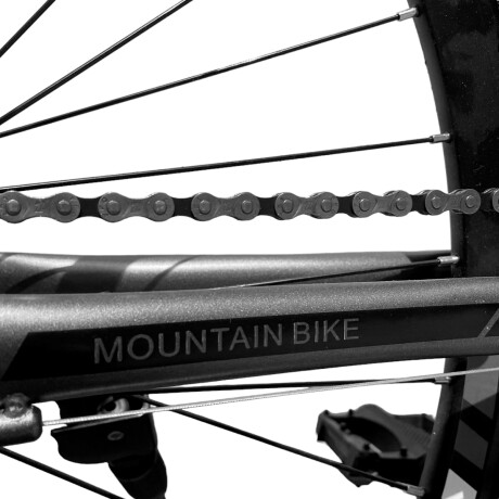 Bicicleta Montaña Expert Patriot Rodado 29 Shimano con Frenos de Disco y 21 Cambios Negro