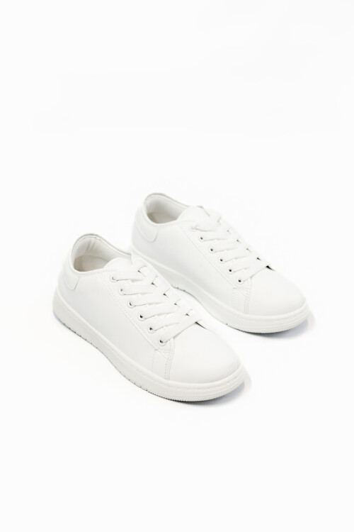 Champion Pavia Blanco